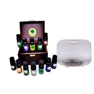 Kit Box 12 óleos essenciais + difusor Air Hathas 