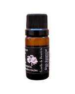 Óleo de cânfora essencial 10 ml