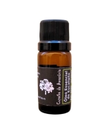 Óleo eucalipto globulus essencial 10 ml